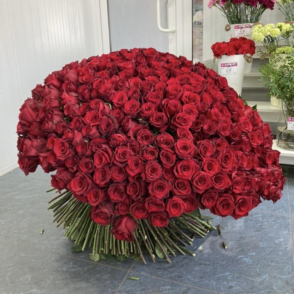 Букеты из красных роз 80 см (Эквадор) (articul  31512a)