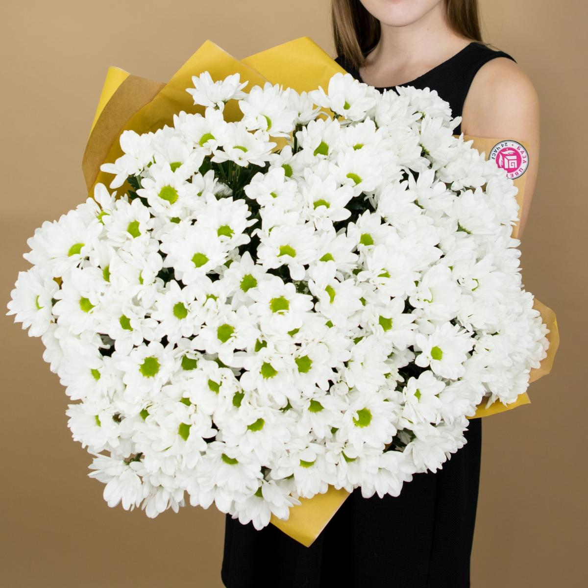 Хризантема белая (ромашка) код товара - 468a