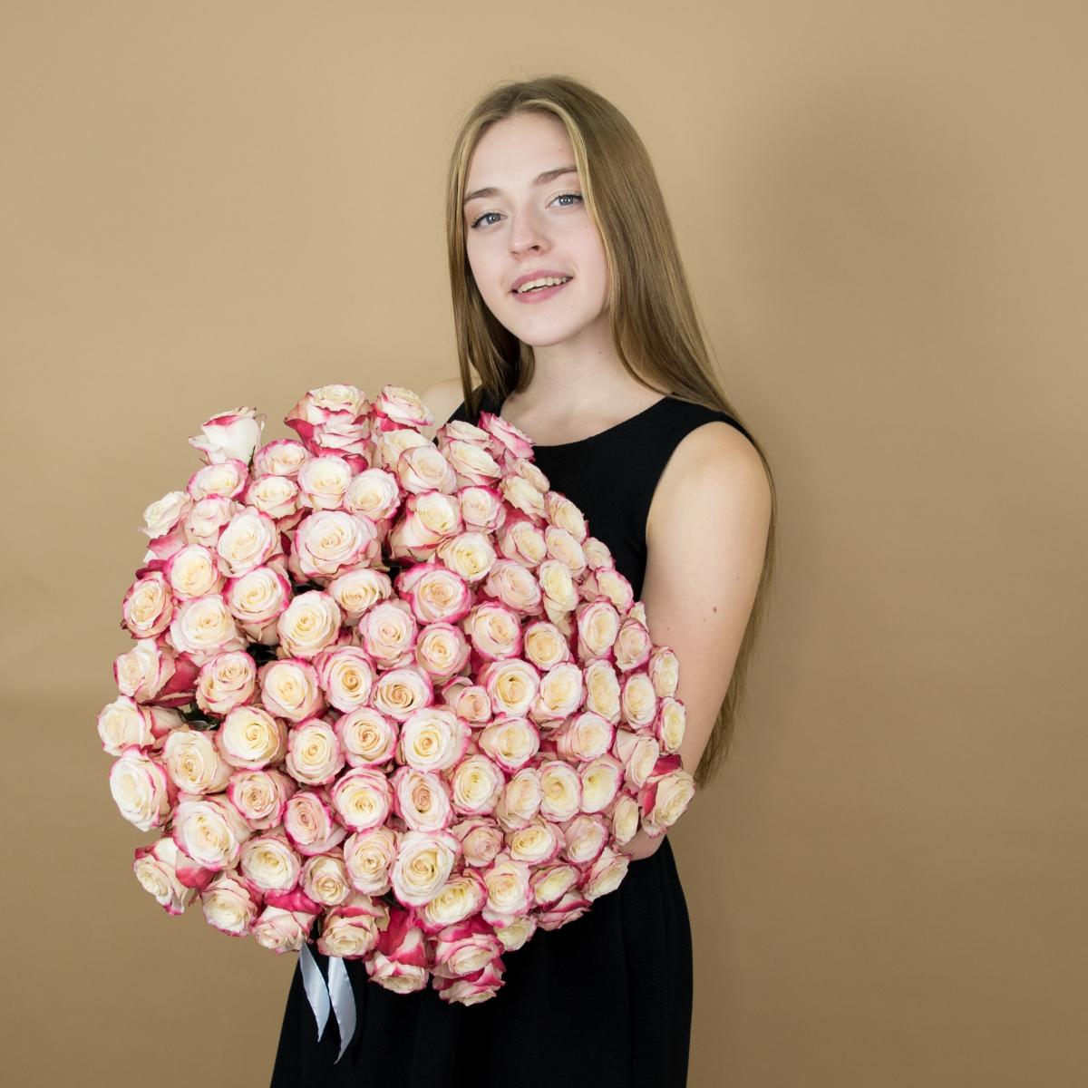 Розы красно-белые (40 см) Эквадор №  78a