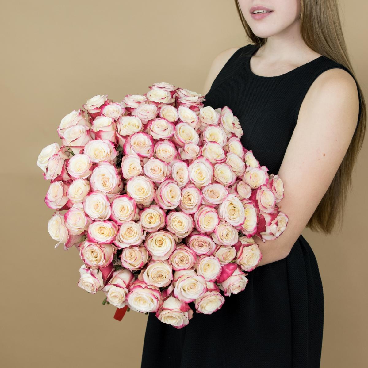 Розы красно-белые (40 см) Эквадор №  78a
