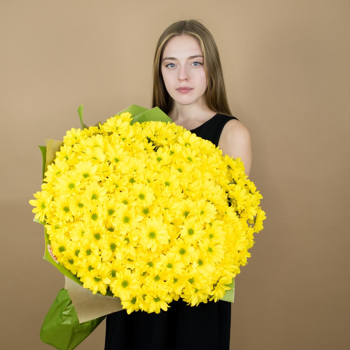 Хризантема кустовая желтая код  14378argl