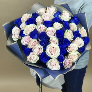 Белая и Синяя Роза 51шт 70см (Эквадор) №  17836a